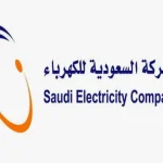 معقب شركة الكهرباء