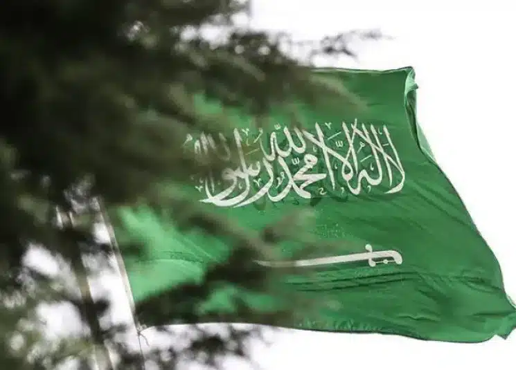 شركات سعودة